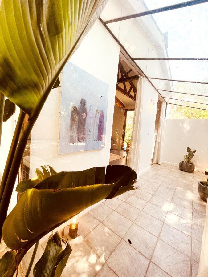 Le Patio, Jardin Privatif, Tennis 尼姆 外观 照片
